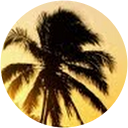 sangary siva profile picture